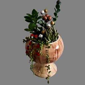 Midi Sukulent Aranjman