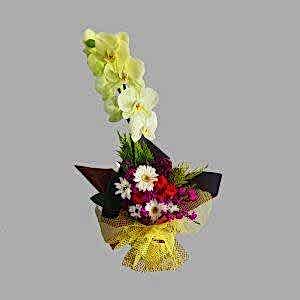 Tek Dal Sarı Orkide