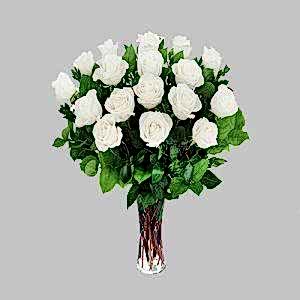 Vazoda 24 Beyaz Gül