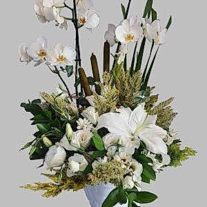 çift dal orkide aranjman