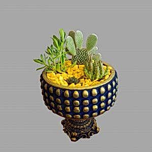 SC063 Sukulent Aranjman