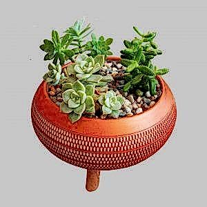 SC064 Sukulent Aranjman