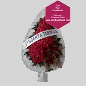 SC070-gerbera ayaklı