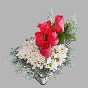 Kalpte Güller ve Papatya