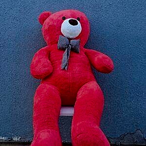 Peluş Ayı (160 cm)