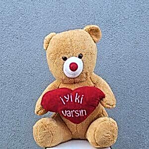 İyi Ki Varsın Peluş Ayı